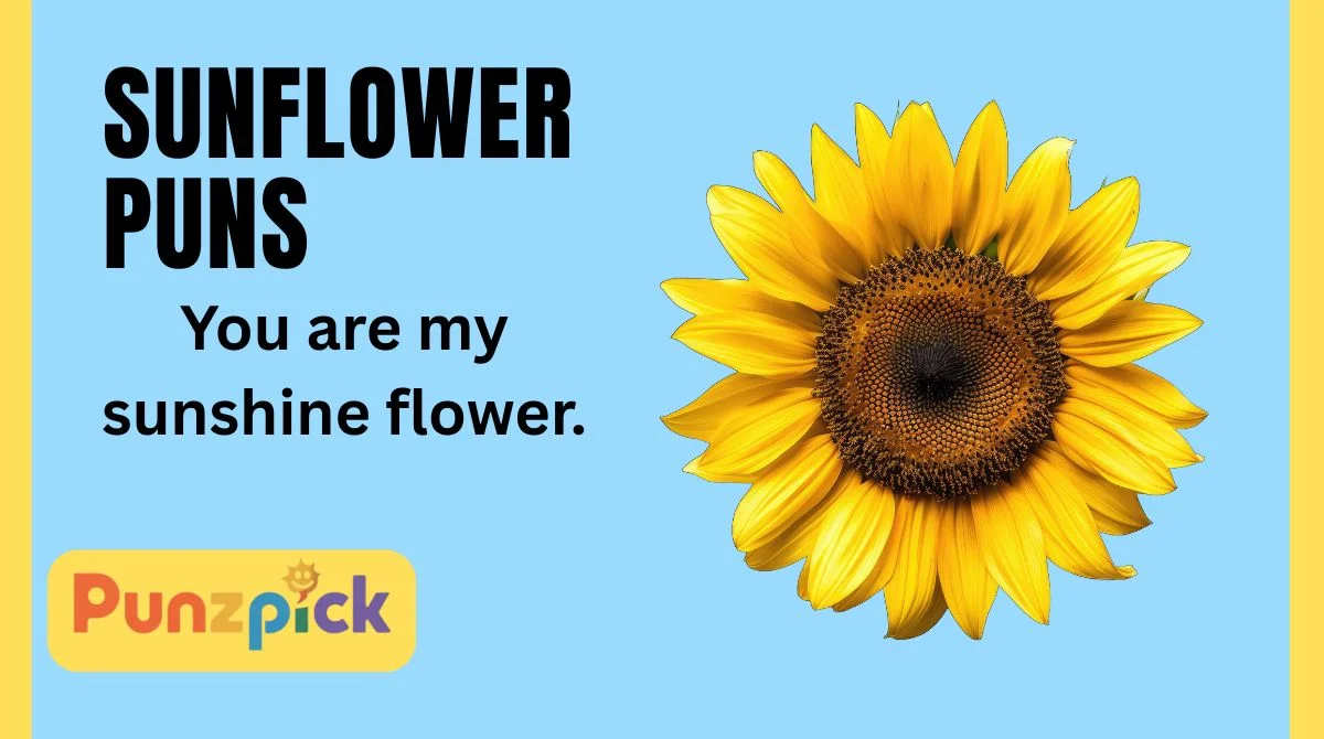Sunflower Puns