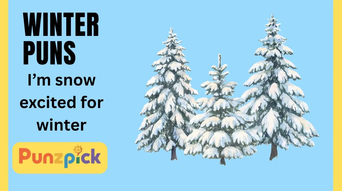 Winter Puns