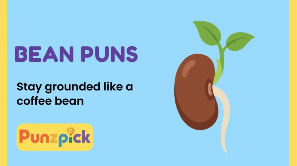 Bean Puns