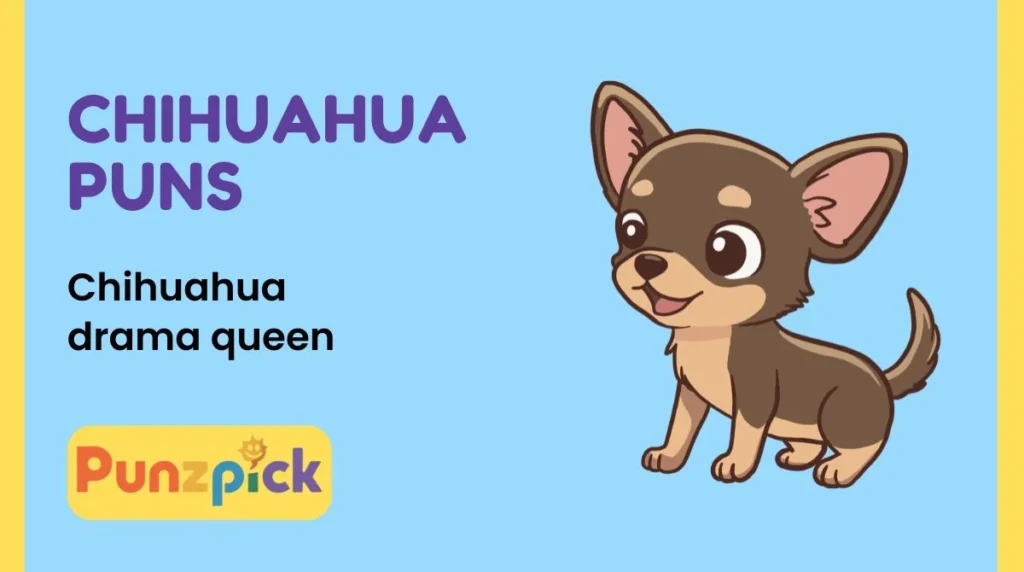 Chihuahua Puns